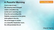 David Harris - A Peaceful Morning