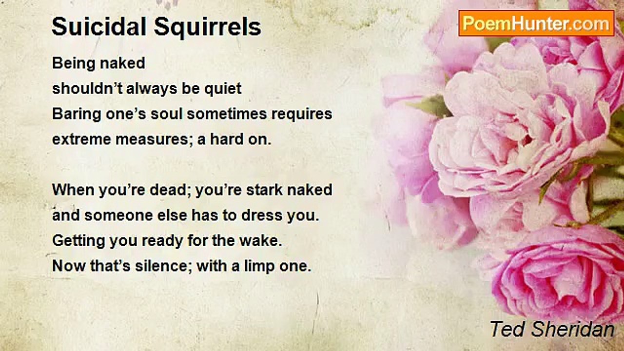 Ted Sheridan - Suicidal Squirrels