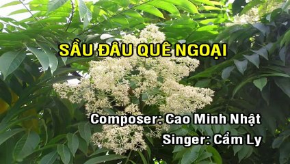 Karaoke Cẩm Ly ~ Sầu Đâu Quê Ngoại