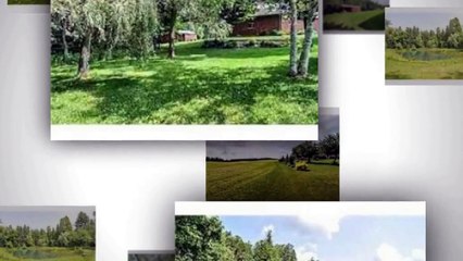 Homes for sale in blackstock