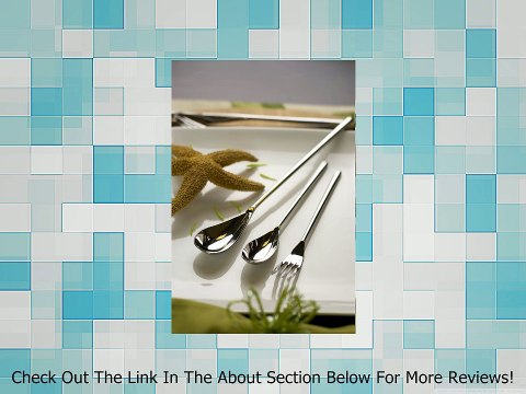 Fortessa Dragonfly 18/10 Stainless Steel 20-Piece Flatware Set, Service for 4