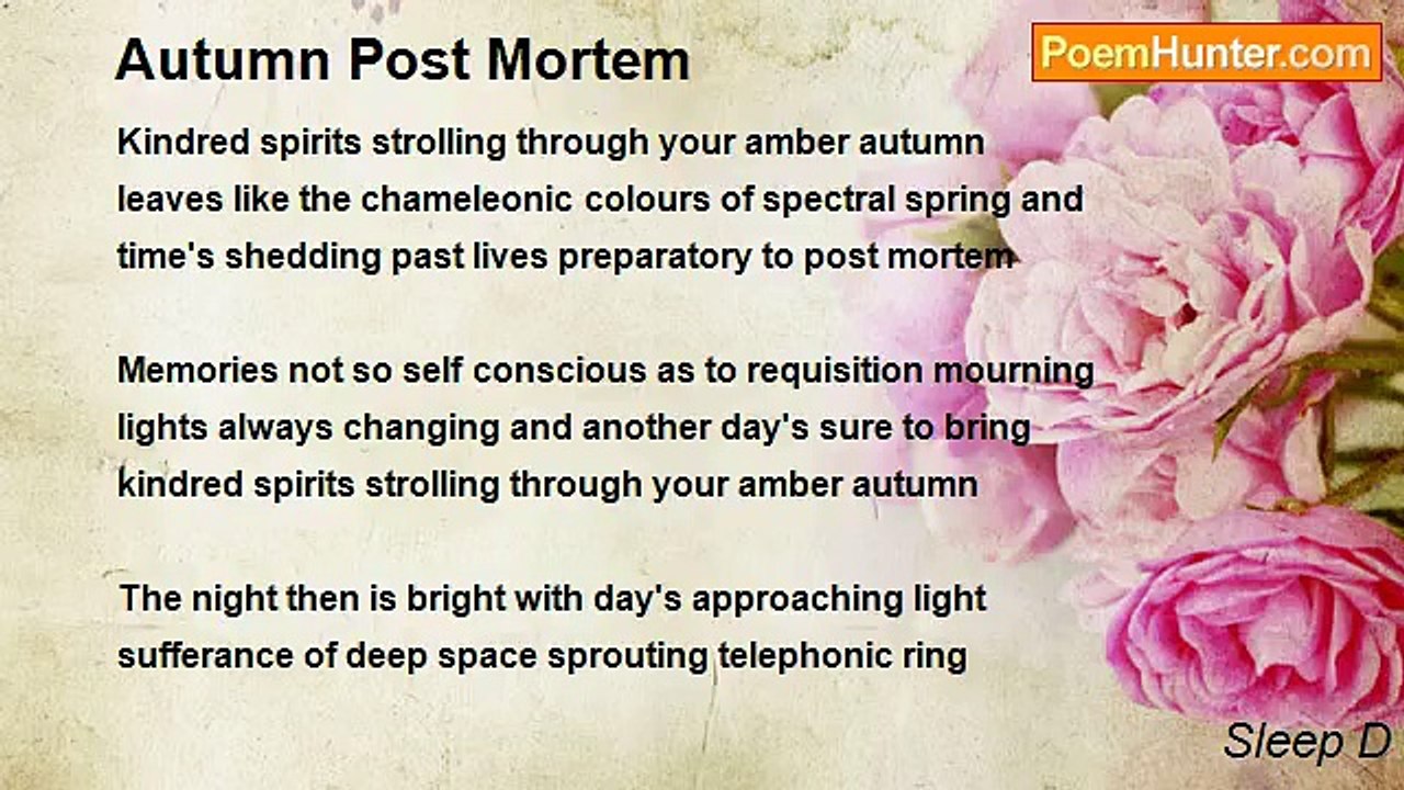 Sleep D - Autumn Post Mortem