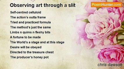 chris dawson - Observing art through a slit