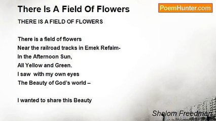 Shalom Freedman - There Is A Field Of Flowers