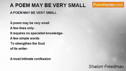 Shalom Freedman - A POEM MAY BE VERY SMALL