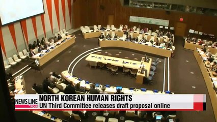 UN Third Committee releases North Korean human rights draft proposal online