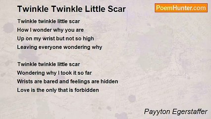 Payyton Egerstaffer - Twinkle Twinkle Little Scar