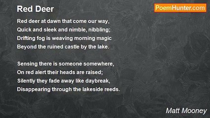 Matt Mooney - Red Deer