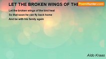 Aldo Kraas - LET THE BROKEN WINGS OF THE BIRD HEAL