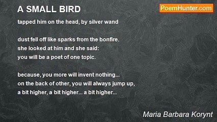 Maria Barbara Korynt - A SMALL BIRD
