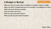 Nyein Way - A Budget or Bud-jet