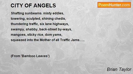 Brian Taylor - CITY OF ANGELS