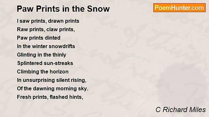 C Richard Miles - Paw Prints in the Snow
