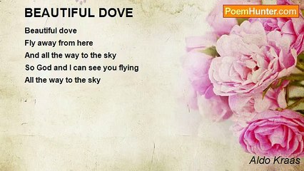 Aldo Kraas - BEAUTIFUL DOVE