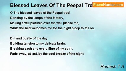 Ramesh T A - Blessed Leaves Of The Peepal Tree!