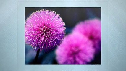 Point Of Sale Software