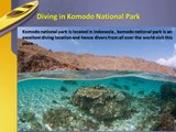 Diving in Komodo National Park