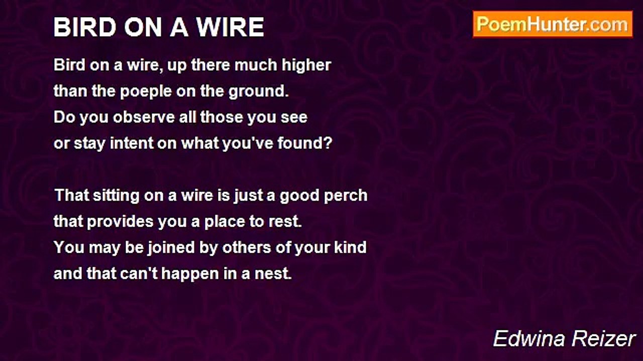 Edwina Reizer - BIRD ON A WIRE
