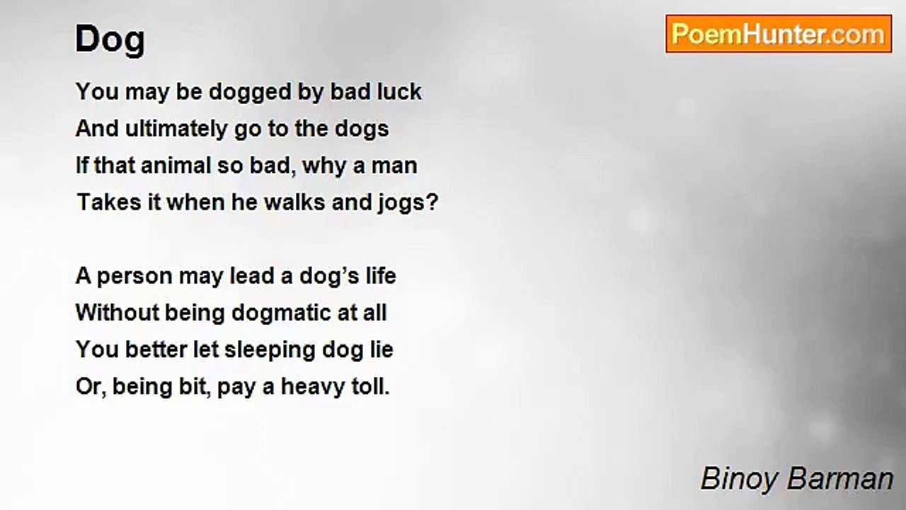 Binoy Barman - Dog