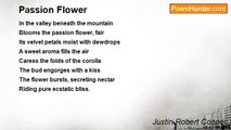Justin Robert Cooper - Passion Flower