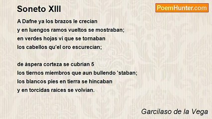 Garcilaso de la Vega - Soneto XIII