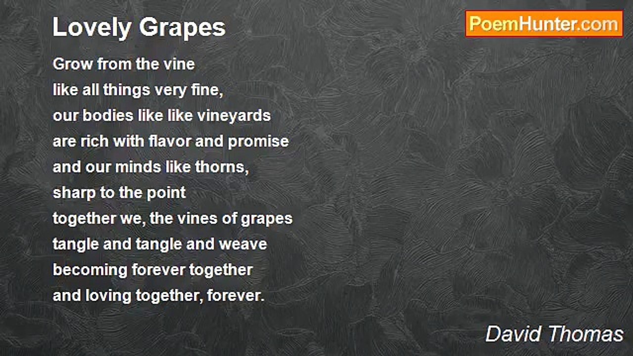 David Thomas - Lovely Grapes