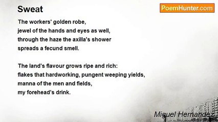 Miguel Hernandez - Sweat