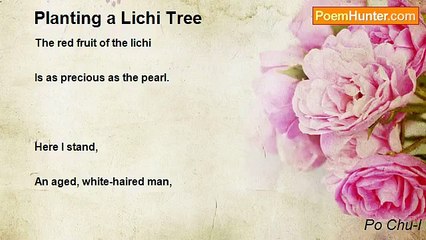 Po Chu-I - Planting a Lichi Tree