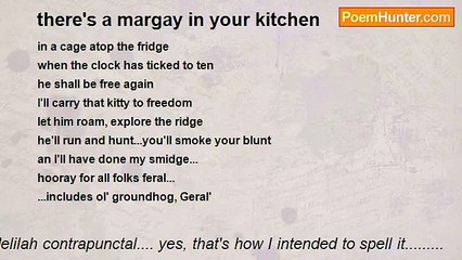 delilah contrapunctal.... yes, that's how I intended to spell it......... - there's a margay in your kitchen