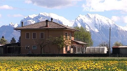 LA CASA RESTA "TARTASSATA"