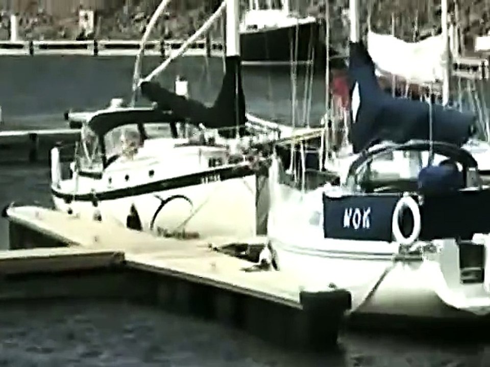 [+18 ~ Sexy Funny Girl]Classic WTF ! Whale Try To jump On Boat - Fails World