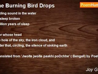 Joy Goswami - The Burning Bird Drops