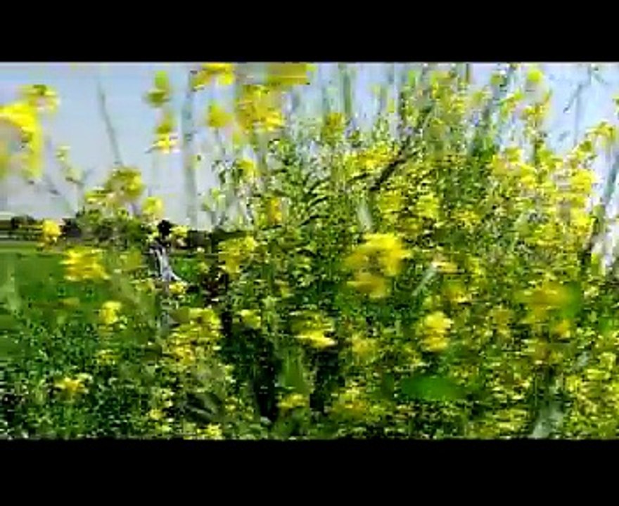 Special Ghooghta Scene Of Superhit Rajasthani Movie Rakhi Ki Rooh