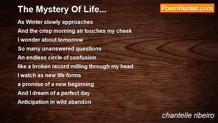 chantelle ribeiro - The Mystery Of Life...