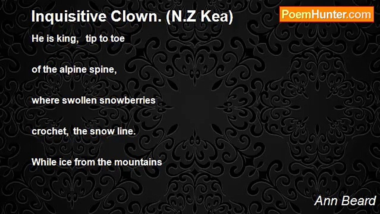Ann Beard - Inquisitive Clown. (N.Z Kea)