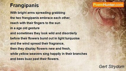 Gert Strydom - Frangipanis
