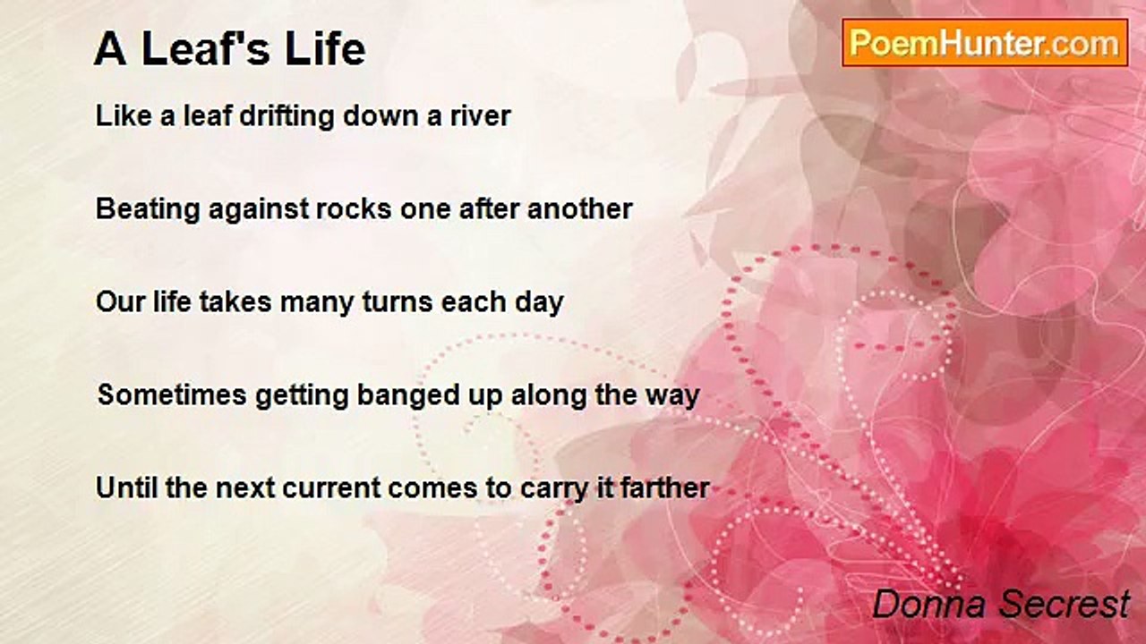 Donna Secrest - A Leaf's Life