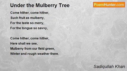 Sadiqullah Khan - Under the Mulberry Tree