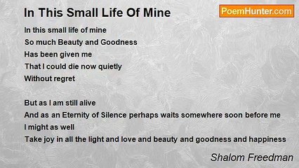 Shalom Freedman - In This Small Life Of Mine