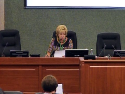 Лев Шлосберг депутат от партии Яблоко : Закон о местном самоуправлении антиконституционен [23.10.2014]