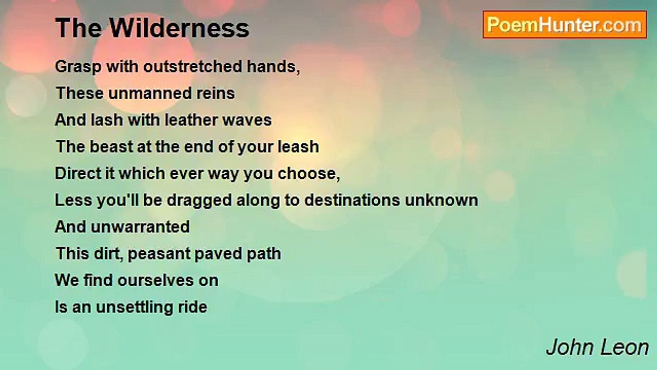 John Leon - The Wilderness