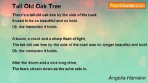 Angelia Hamann - Tall Old Oak Tree