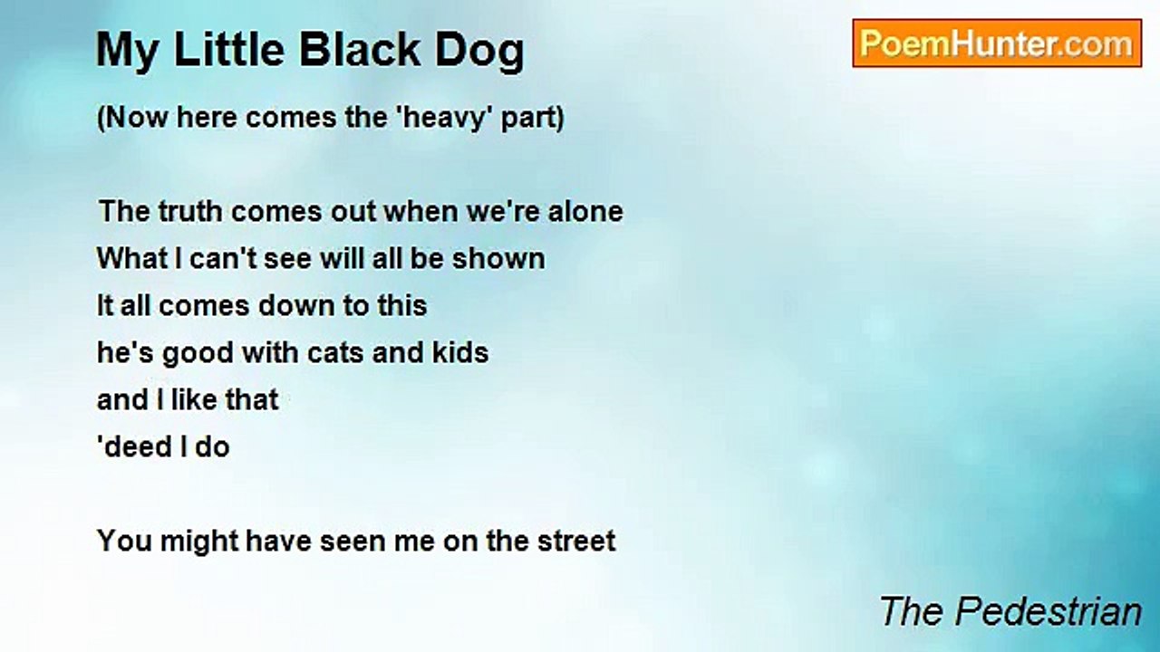 The Pedestrian - My Little Black Dog