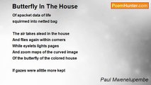 Paul Mwenelupembe - Butterfly In The House