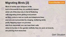 Gert Strydom - Migrating Birds [2]