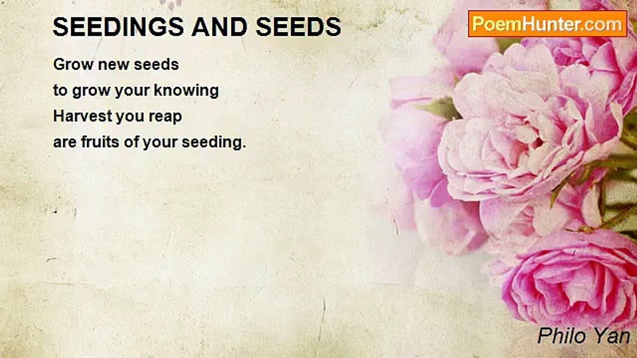 Philo Yan - SEEDINGS AND SEEDS