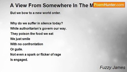 Fuzzy James - A View From Somewhere In The Middle