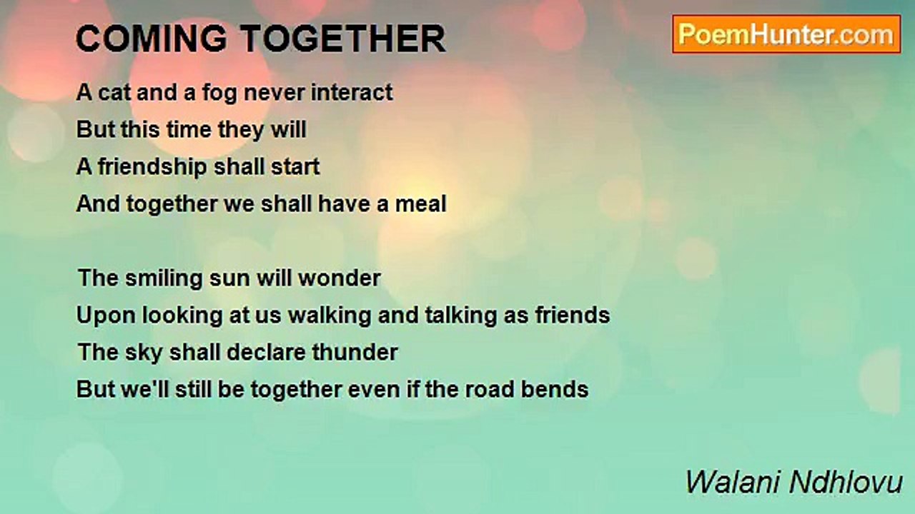 Walani Ndhlovu - COMING TOGETHER