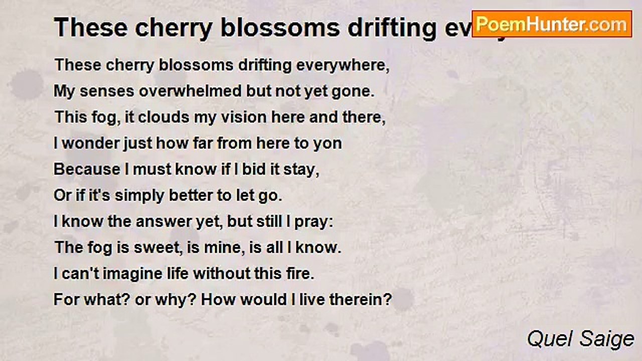 Quel Saige - These cherry blossoms drifting everywhere