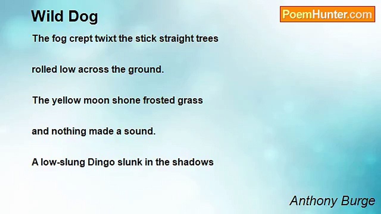 Anthony Burge - Wild Dog